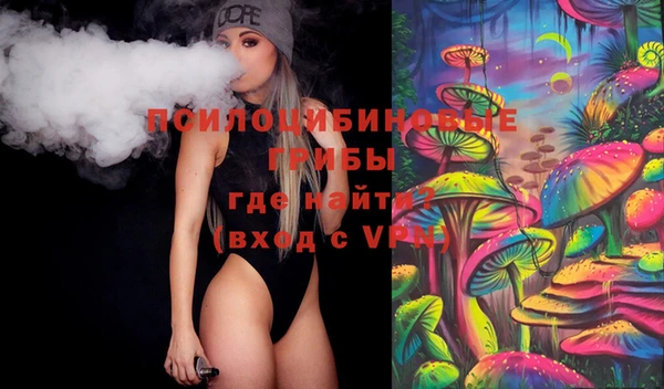 винт Армянск