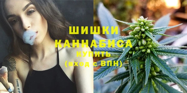 винт Армянск