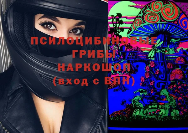 винт Армянск