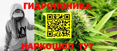 прущие крисы Аргун