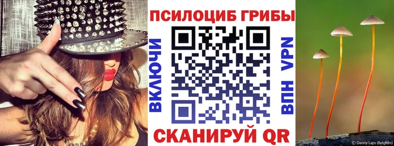Галлюциногенные грибы Cubensis Белорецк