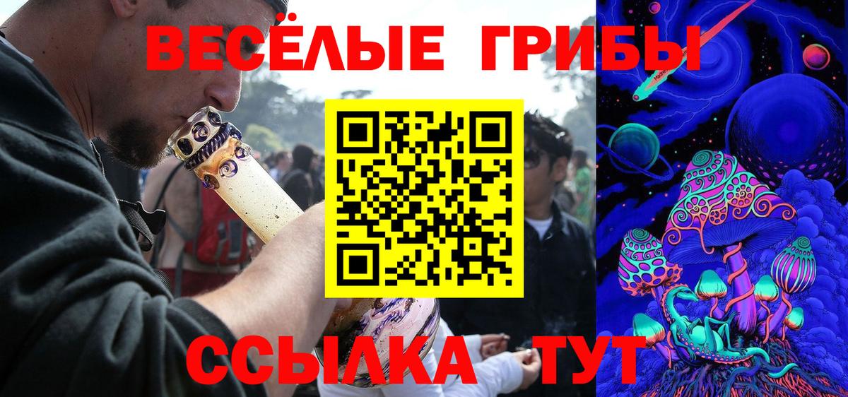 Галлюциногенные грибы прущие грибы Белорецк