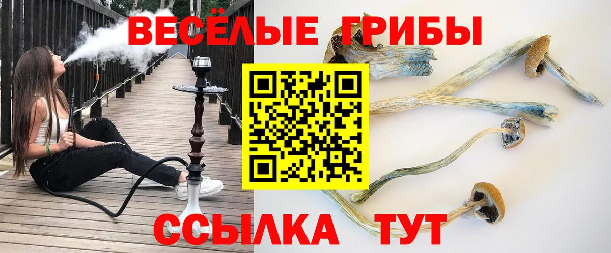 Галлюциногенные грибы GOLDEN TEACHER  Вход с VPN  Белорецк 
